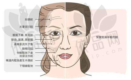 宁波鄞州薇琳美容于美玲医生——特色技术优势
