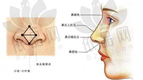王玲 医生资质信息