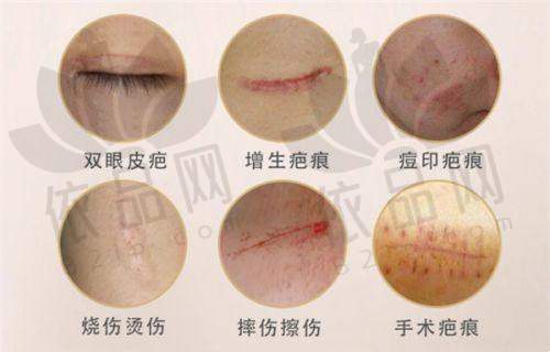 赵耀医生资质信息