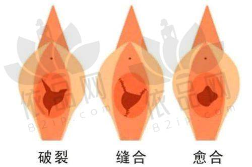 一、李峰永医生是哪家医院的？——八大处整形医院的明星骨干医生