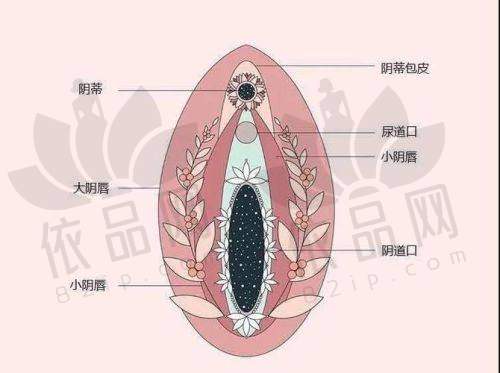 三、李峰永医生做紧缩手术口碑良好——真实患者反馈