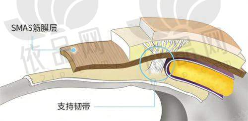 湖州林华医疗美容门诊部预约方式
