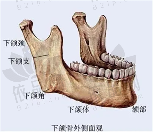 金华芘丽芙美容医院正规吗