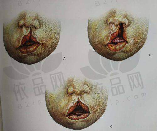 诸暨西子美整形刘士红医生资质信息
