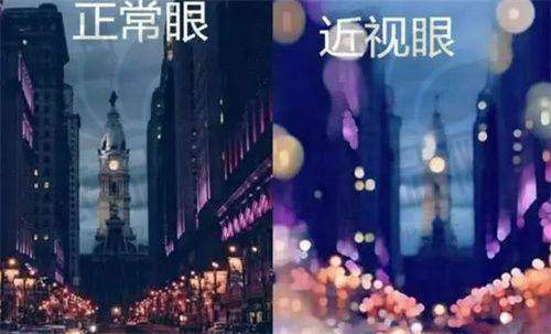 三、政策意义