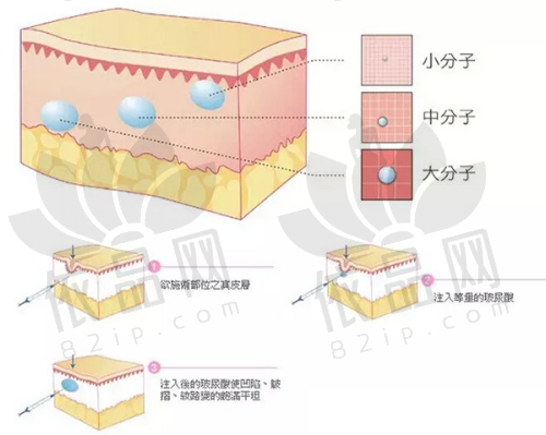 南京华美超级品牌月惊喜来袭，薇旖美胶原蛋白仅999元起，速享美丽优惠！ 