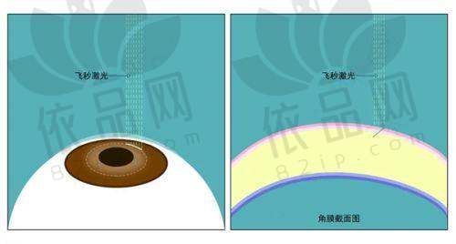 2. 科室规模与设备