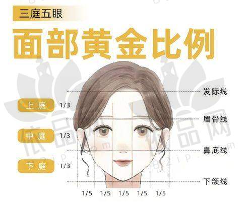 盛健康医生擅长项目