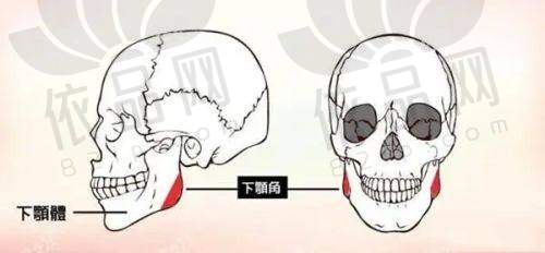 3. 伽美贝拉医疗美容
