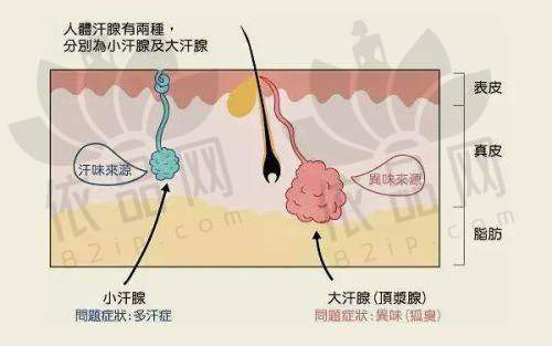 合肥台美丽格医疗美容门诊部基本信息