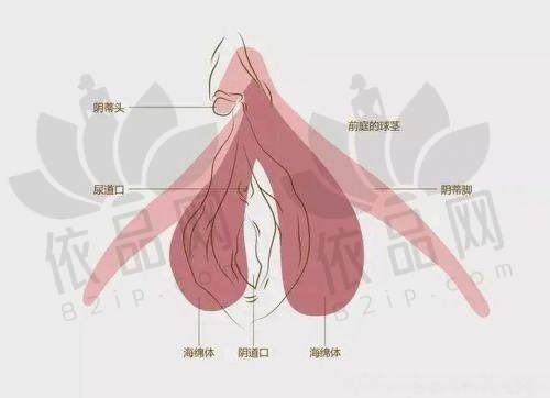 优惠活动时间和注意事项