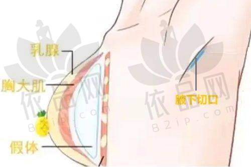 上海时光整形何晋龙医生口碑评价
