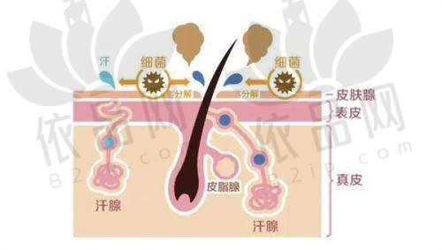 广州艺星医疗美容邓劲松医生的口碑评价