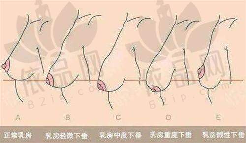 三、小编点评