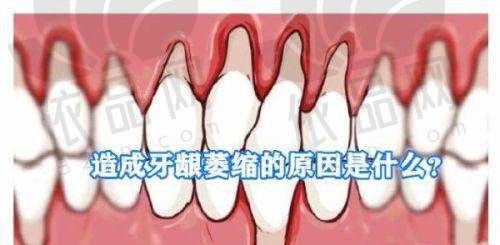 深圳慈恩口腔杨林医生擅长项目