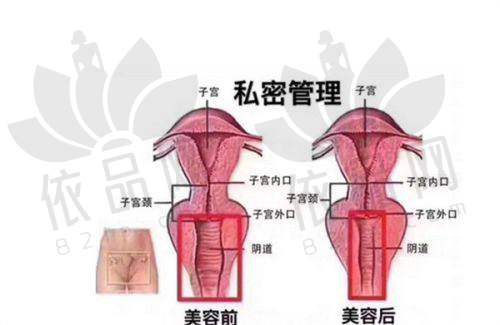 厦门美莱医疗美容医院