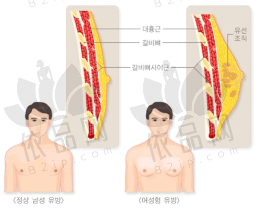 吴丽丽医生技术特点与优势