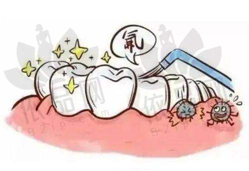 福州维乐口腔门诊部（中街亭总店）交通路线