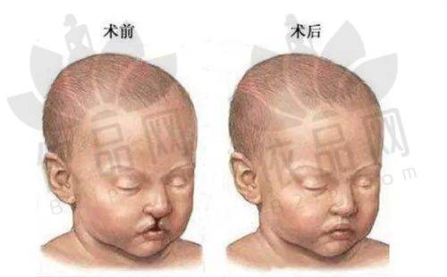 热门项目收费情况