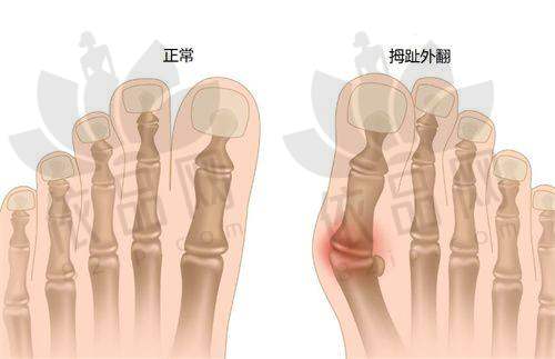 广州碧莲盛医疗美容诊所2025年价格表参考