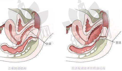 其他项目及价格