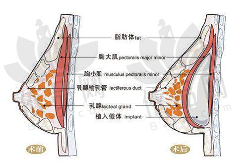 品牌荣誉与资质