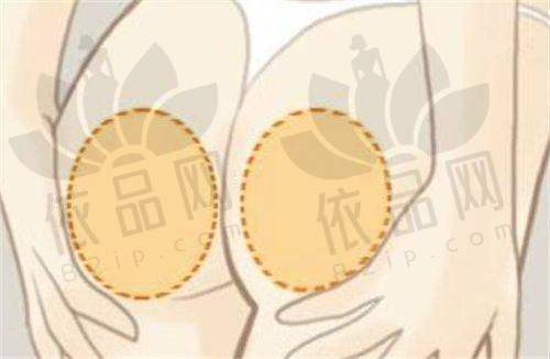 丽江吴氏嘉美2025年价格表