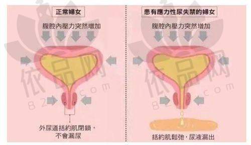 价格优惠的吸引力