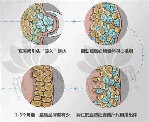 主推医生及擅长项目