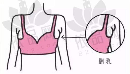 郑咏舰医生预约方式