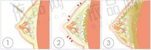 付晓慧医生资质信息