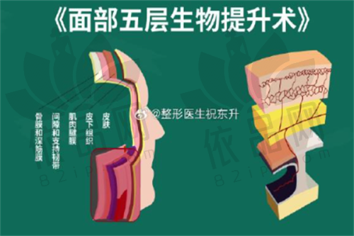 陈志明医生总结