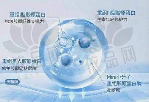 2、北京沃尔刘彦军整形美容