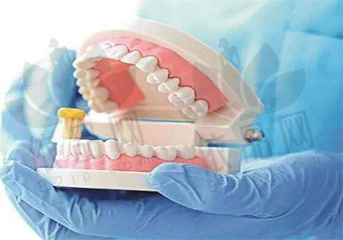 合理透明的收费与特色治疗