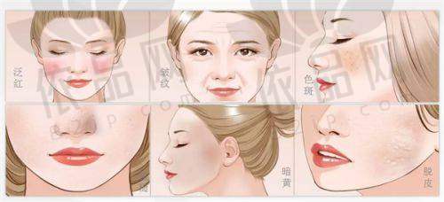 李石——擅长项目