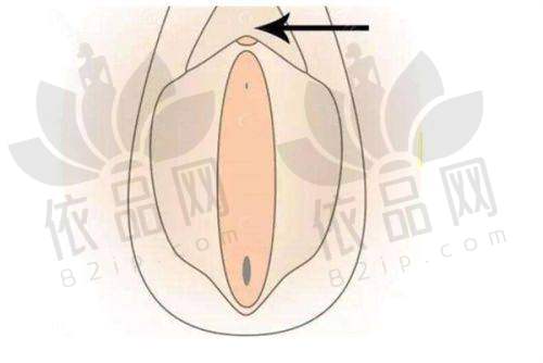 4、北京圣嘉新医疗美容医院