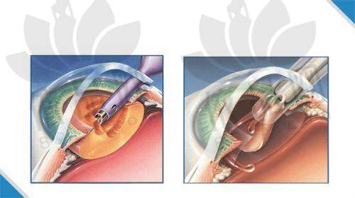 吴继东医生资质信息