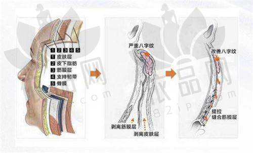 3、张建军 医生