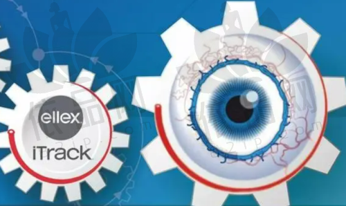 林青鸿医生擅长项目