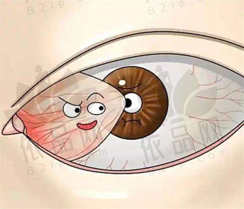 林青鸿医生资质信息