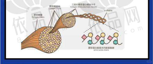 四川达州双均美容诊所陈朝政五官整形5000元起,李易蔓注射美容3000元起