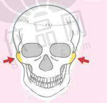 洪春医生擅长项目