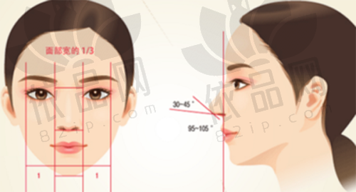 福州新世纪整形外科陈志明医生擅长项目