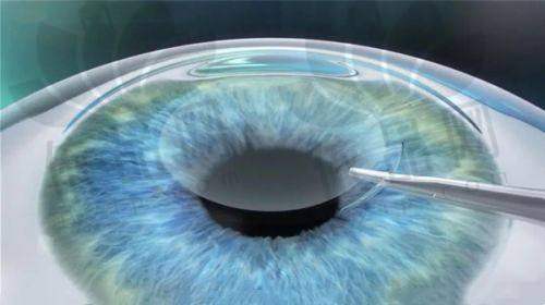 林青鸿医生的预约方式