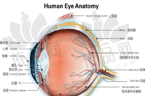 黄海达医生特色技术优势