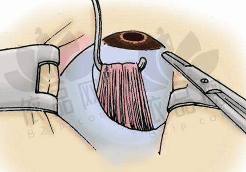 微信公众号预约:便捷又效率高