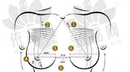 北京纯脂 王自谦医生 - 总结